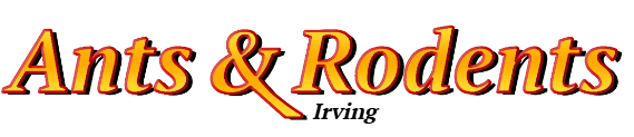 Irving Ant Exterminator & Rodent Control Company Logo